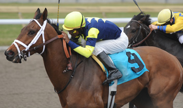 Thumbnail for Woodbine Opening Day Card Drawn, Season Launch Set for Saturday