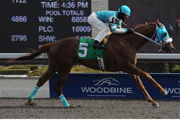 Thumbnail for Stakes Recap: Essence Hit Man Sets Track Record in Jacques Cartier