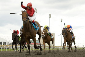 Thumbnail for Filly Inglorious Beats the Boys in Queen’s Plate