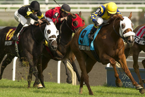 Thumbnail for Pender Harbour Adds Breeders’ to Triple Crown Resume
