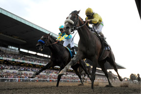Thumbnail for Union Rags Wins the Belmont Stakes