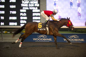 Thumbnail for Up With the Birds Swoops to Coronation Futurity Score