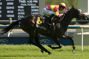 Thumbnail for Solid Appeal Proves Best in Nassau