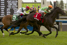Thumbnail for Langstaff Remains Unbeaten with Bold Ruckus Triumph