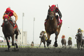 Thumbnail for Midnight Aria Takes 154th Queen’s Plate