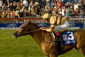 Thumbnail for Wise Dan Established as Favourite for Ricoh Woodbine Mile