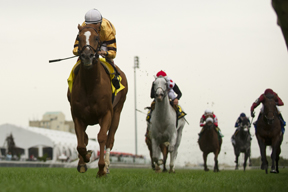 Thumbnail for Wise Dan Sets Track Record Defending Ricoh Woodbine Mile Title