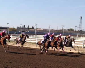 The Powder Puff Derby at Northlands park, women who have never been in a horse race before - trainers and exercise riders.. EquiSports Therapy photo
