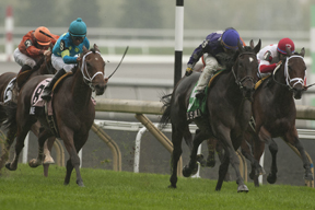 Jockey Justin Stein guides Phil's Dream to victory in the $300,000 Nearctic Stakes at Woodbine