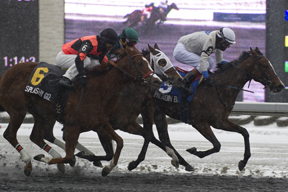 Thumbnail for Paladin Bay Hangs on to Win Ontario Lassie at Woodbine