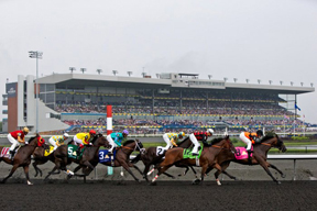 Thumbnail for Woodbine Sees Per Card Thoroughbred Wagering Rise in 2013
