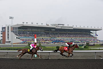 Thumbnail for Woodbine Unveils 2014 Thoroughbred Stakes Schedule
