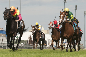 Jockey Jesse Campbell guides Solid Appeal to victory over the E.P.Taylor turf course in the $200,000 Nassua Stakes at Woodbine. Photo by Michael Burns Photography