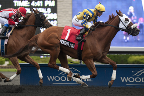Jockey Luis Contreras guides Pender Harbour to victory in the $125, 000 Steady Growth stakes at Woodbine. Photo by Michael Burns Photography