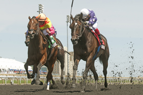 Justin Stein guides Phil's Dream(insde purple silks) to victory over Go Blue Or Go Home in the $100,000 Ontario Jockey Club Stakes at Woodbine. Photo by Michael Burns Photography