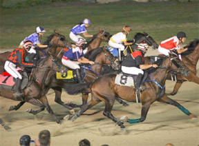 Racing Under Saddle is an innovative new concept in Harness Racing for Canadian audiences.