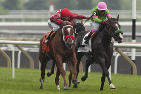 Jockey Eurico Da Silva guides Regal Conqueror to victory over the E.P.Taylor turf course in the; $150,000 dollar Ontario Damsel stakes at Woodbine. Photo Michael Burns Photography