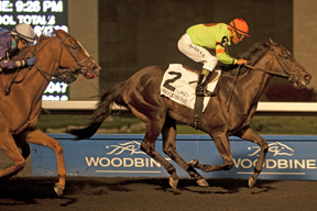 Jockey Euric Da Silva guides Spadina Road to victory in the $125,000 Deputy Minister Stakes at Woodbine. Photo by Michael Burns Photography