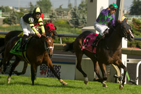 Thumbnail for Ami’s Holiday prevails in Breeders’ Stakes
