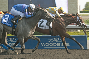 Gary Boulanger guides Dixie Twist to victory in the $125,000 Ontario Debutante Stakes at Woodbine. Photo by Michael Burns Photography