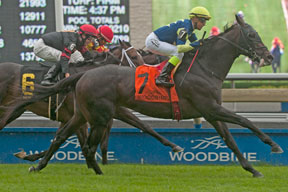 Luis Contreras guided Karibu Gardens to victory in the $203,200 Grade 2 Sky Classic Stakes, at Woodbine. Photo by Michael Burns Photography