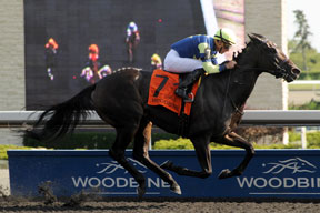 Gary Boulanger guided Leigh Court to victory in the $155,600 Grade 3 Seaway Stakes at Woodbine. Photo by Michael Burns Photography