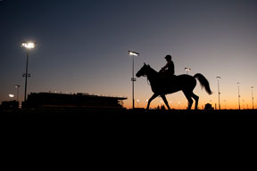 Ricoh Woodbine Mile contender Dorsett begins his final early morning breeze before sunrise under jockey Luis Contreras. Dorsett. He will attempt to capture the $1,000,000 race over the E.P.Taylor turf course at Woodbine Racetrack on Sunday September 14, 2014. Photo by Michael Burns Photography