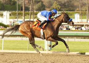 Game On Dude has been retired to Old Friends Farms. Photo courtesy ©Benoit