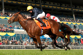 Hillstar, ridden by Jockey Ryan Moore capture the $1,000,000 Pattison Canadian International Stakes at Woodbine. Photo by Michael Burns Photography