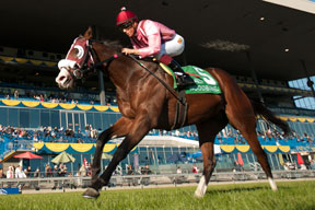 Luis Conteras guides Passion for Action to victory in the $250,000 78th running of the Cup and Sucer Stakes at Woodbine. Photo by Michael Burns Photography