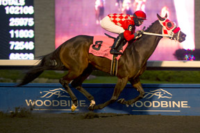 Jesse Campbell guide's Executive Allure to victory in the $150,000 Jammed Lovely Stakes at Woodbine. Photo by Michael Burns Photography