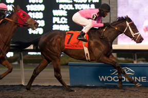 Patrick Husbands guides Galina Point to victory in the $125,000 South Ocean Stakes at Woodbine Racetrack. Photo by Michael Burns Photography
