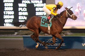 Patrick Husbands guides Stonestreet stable's Hillaby to victory in the $200,000 Bessarabian Stakes at Woodbine. Photo by Michael Burns Photography