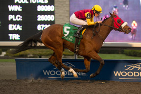 Emma-Jayne Wilson guides London Tower to victory for owner and trainer Steve Owens in the $150,000 Ontario Lassie Stakes at Woodbine. Photo by Michael Burns Photography