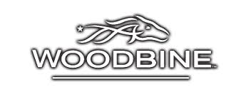 Thumbnail for Woodbine Re-Opens Expanded Gaming Debate