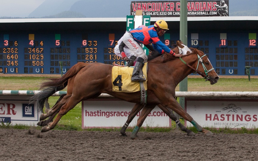 Slice of Red won Sunday’s feature at Hastings. Photo by Patti Tubbs