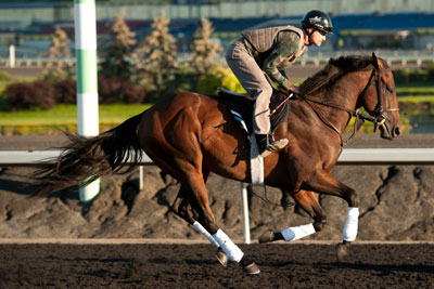 Queen's Plate contender Ami's Flatter with exercise rider Bill O'Connor. Photo by Michael Burns Photography