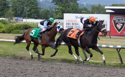 Sabrina, winning an open $25,000 claiming event for fillies and mares at Hastings on Sunday. Patti Tubbs Photo