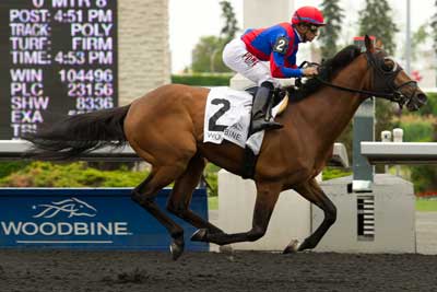 Alan Garcia guided Are You Kidding Me to victory in the $201,200 Grade 2 Eclipse Stakes, at Woodbine. Photo by Michael Burns Photography