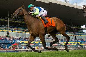 Julien Leparoux guides Ageless to victory in the $150,000 Royal North Stakes at Woodbine. Photo by Michael Burns Photography