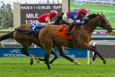 Alan Garcia guides Are You Kidding Me to victory in the $200,000 Grade II Nijinsky stakes at Woodbine. Photo by Michael Burns Photography