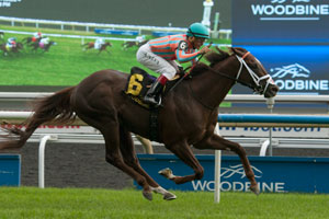 Conquest Pacemaker won the $131,500 Toronto Cup under Eurico Da Silva at Woodbine. Photo by Michael Burns Photography