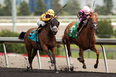 Emma-Jayne Wilson guides Endless Light to victory in the $100,000 Sweet Briar Too Stakes at Woodbine Racetrack. Photo by Michael Burns Photography