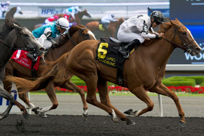 Omar Moreno guides Her Majesty's Flag to victory in the $125,000 Duchess Stakes at Woodbine Racetrack. Photo by Michael Burns Photography
