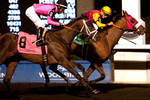 London Tower won the $125,400 Eternal Search Stakes at Woodbine under Gary Boulanger. Photo by Michael Burns Photography