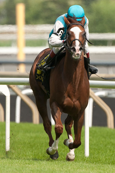 Eurico Da Silva (inside rail Turquois silks,#6) guides Pohdi Pohdi to victory in the $125,000 Passing Mood Stakes at Woodbine. Photo by Michael Burns Photography