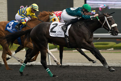 Emma-Jayne Wilson guides R U Watchingbud to victory in the $150,000 Queenston Stakes for 3 year olds foaled in Canada, at Woodbine. Photo by Michael Burns Photography