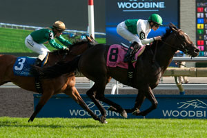 Emma-Jayne Wilson (white and green silks) guides Habibi (NZ) to victory in the $100,000 Flaming Page Stakes at Woodbine. Photo by Michael Burns Photography