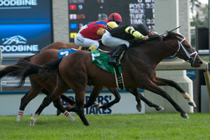 Emma-Jayne Wilson guides Interpol to victory in the $200,000 Sky Classic Stakes at Woodbine. Photo by Michael Burns Photography