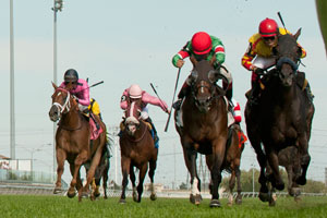 Luis Contreras (yellow silks red cap #6 inside rail) out duels Tower of Texas (L) to capture the $200,000 Play the King Stakes at Woodbine. Photo by Michael Burns Photography